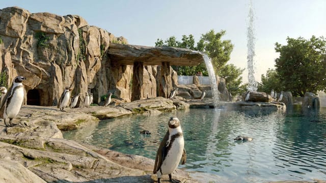 Pavilon tučňáků ZOO Ostrava